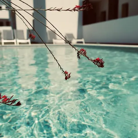 Flaneur Kallithea (Chalkidiki)