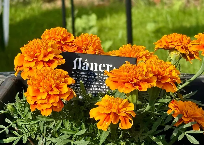 Flaneur شقة *